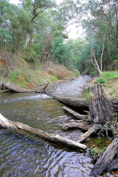 istock Bright,  Victoria,  Australia 1469345925