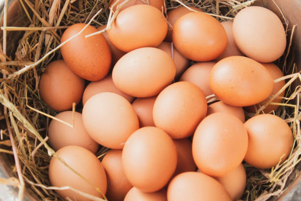 istock A pile of eggs 1469354335
