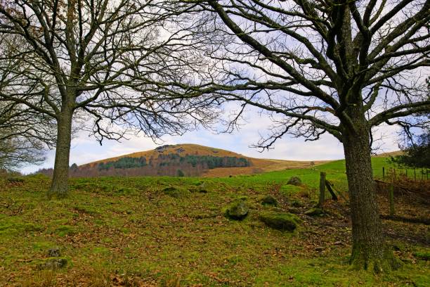 istock The route to Simon's Seat. 1469359029