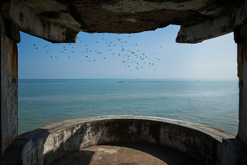 Views from inside the bunker of the seascape. Beautiful seascape with birds flying together.