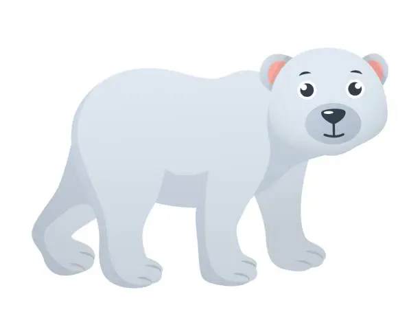 Vector illustration of Polar bear cartoon character . Vector .