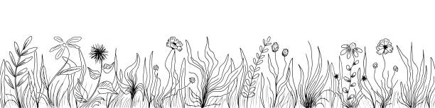 handgezeichnetes wildgras und blumen, schwarz-weiß-illustration - lea stock-grafiken, -clipart, -cartoons und -symbole