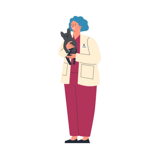 bildbanksillustrationer, clip art samt tecknat material och ikoner med woman veterinarian doctor holding cute dog, flat vector illustration isolated. - veterinär, undersökning