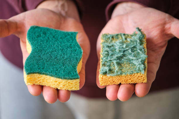 Mens hands holding new and old double-side cleaning scouring sponge. stock photo
