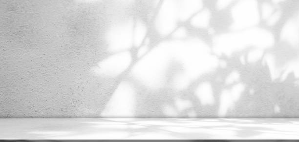 istock Shadow Overlay Abstract on Table Wall Studio Room Background,Grey Summer color Tropical with Silhouette Plant Leaves on Floor Counter Bar,Empty Design Food Kitchen Shelf Pattern Texture 1469387168