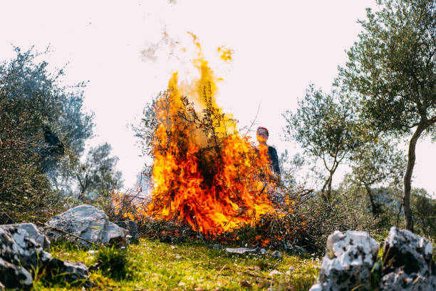 Farmer Who Burns the Branches of the Trees he Pruned
