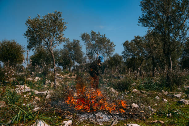 Farmer Who Burns the Branches of the Trees he Pruned