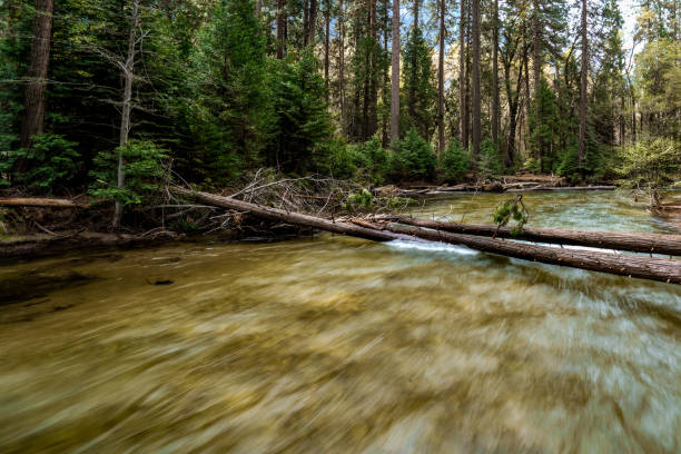 malerische aussicht auf den fluss im yosemite national park - yosemite valley stock-fotos und bilder