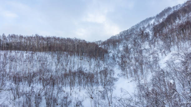 istock The best view in Otaru 1469398505