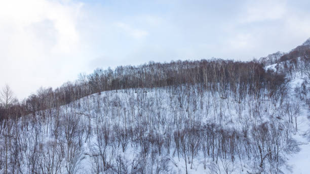 istock The best view in Otaru 1469398506
