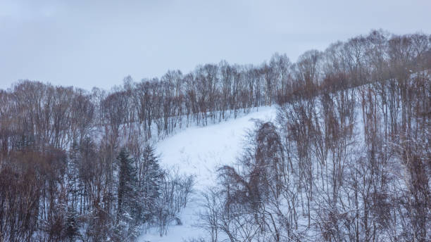 istock The best view in Otaru 1469398733