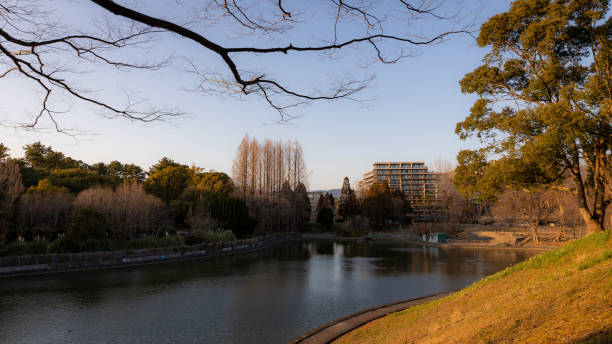 istock The best view in Osaka 1469399022