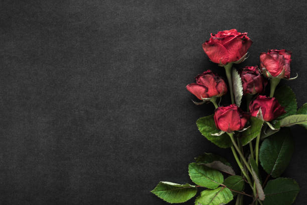istock Fresh red roses on dark black table background. Closeup. Condolence card. Empty place for emotional, sentimental text, quote or sayings. Top down view. 1469399114