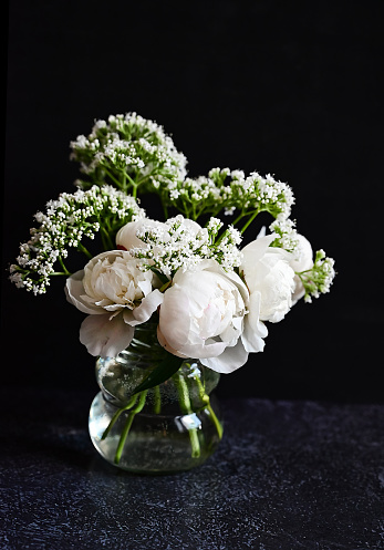 Fresh white peonies on a black, dark background. A condolence card. Wedding date. An invitation to a holiday. Congratulation.An empty space for text. View from above. He was lying flat.