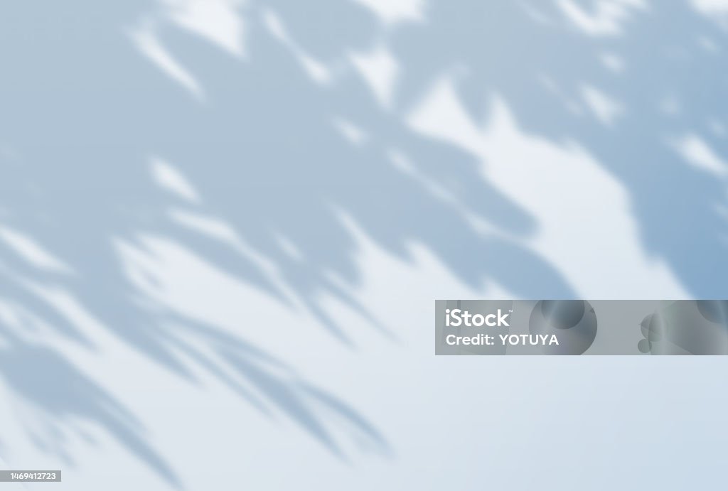 Tree Shadow Background Sharp Beautiful Tree Shadow Background Illustration Stock Illustration ...