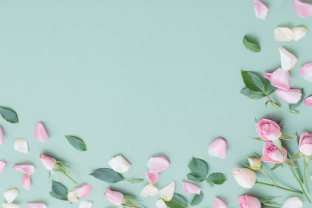 istock pink and white flowers on green  paper  background 1469415024
