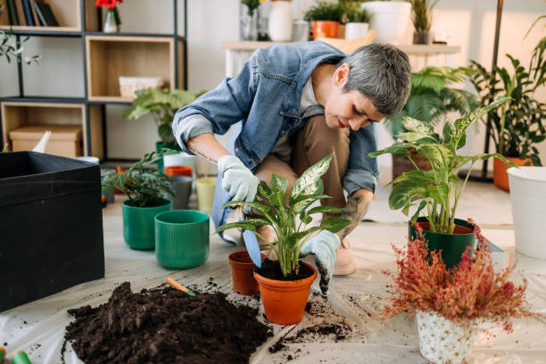 istock Female gardening 1469422175