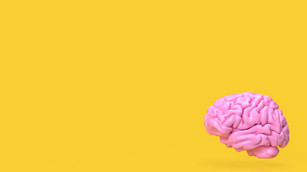 istock The pink brain on yellow background for creative or idea concept 3d rendering 1469427388