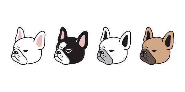 dog vector french bulldog icon puppy pet head face character cartoon symbol tattoo stamp scarf illustration design isolated