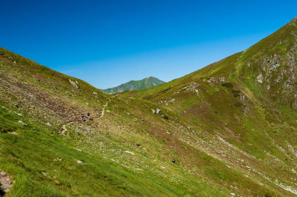 Two female trekkers with backpack. Woman hikers trekking in mountain ridge slopes of Rodna Mountains National Park multiday hike, Muntii Rodnei National Park, Romania, Romanian Carpathian Mountains, Europe. dos mujeres excursionistas con mochila. mujeres excursionistas que caminan en las laderas de las crestas de las montañas del parque nacional de rodna caminata de varios días, parque nacional muntii rodnei, rumania, montañas de los cárpatos rumanos, eur