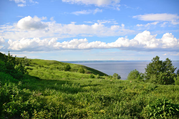 istock A grassy field with a blue sky and white clouds and river in the background 1469432109
