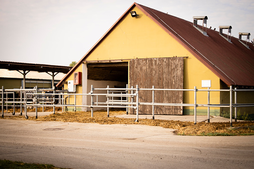 Cowshed, stable or barn at cattle farm.
