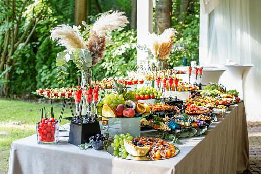 catering buffet table with snacks and appetizers. Set of varios fruits and berries. Decorative vase. Summertime
