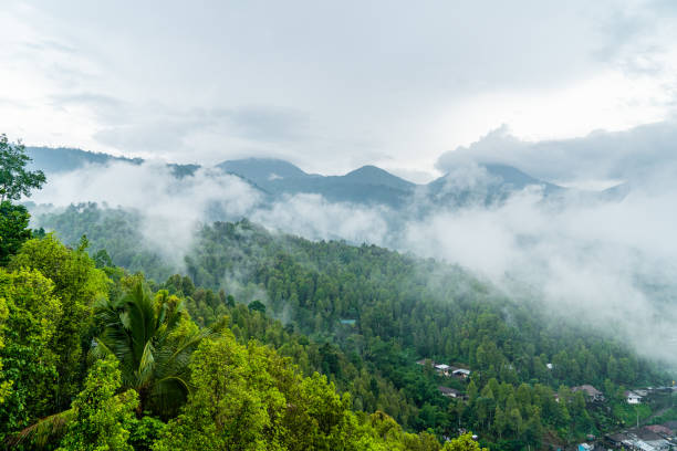 Mountains covered with rainforest in rain clouds and fog. stock photo