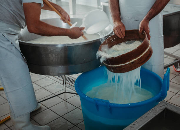 istock Bufala mozzarella production in Italy 1469444019