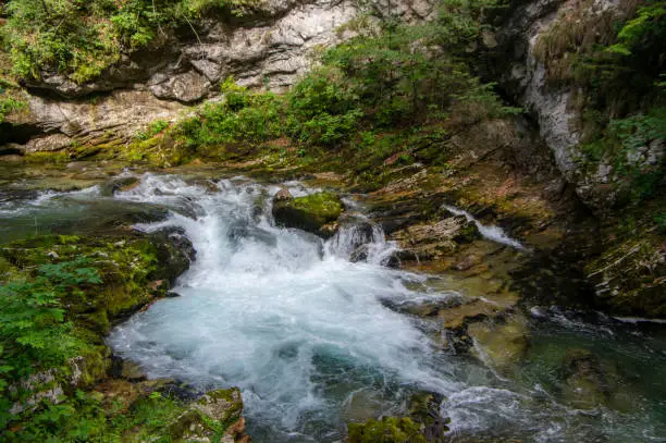 Photo of Vintgar gorge amazing cayon with river, rocks and nature, wooden foodpaths leads through wild natural reserve