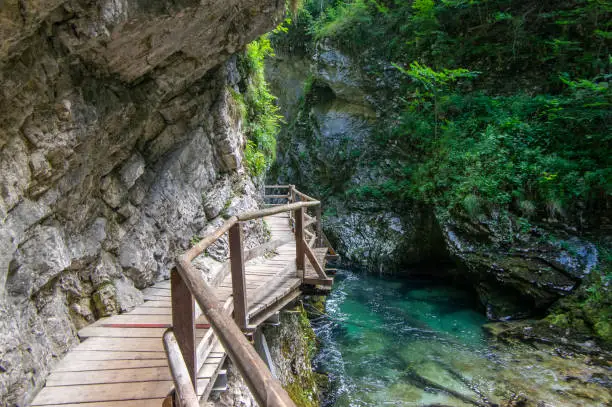 Photo of Vintgar gorge amazing cayon with river, rocks and nature, wooden foodpaths leads through wild natural reserve