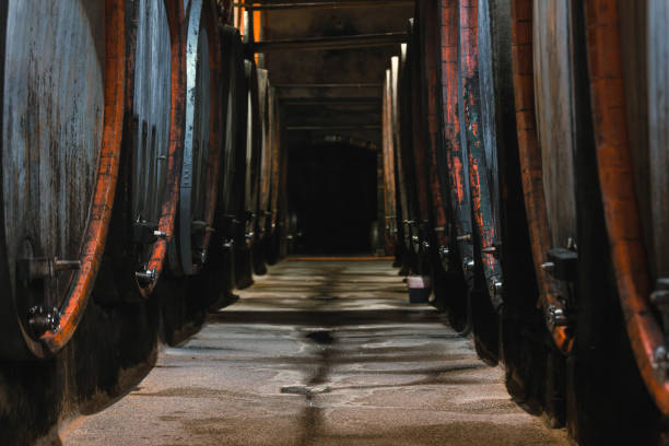 istock Wine cellar interior with stacked old wooden barrels 1469452464