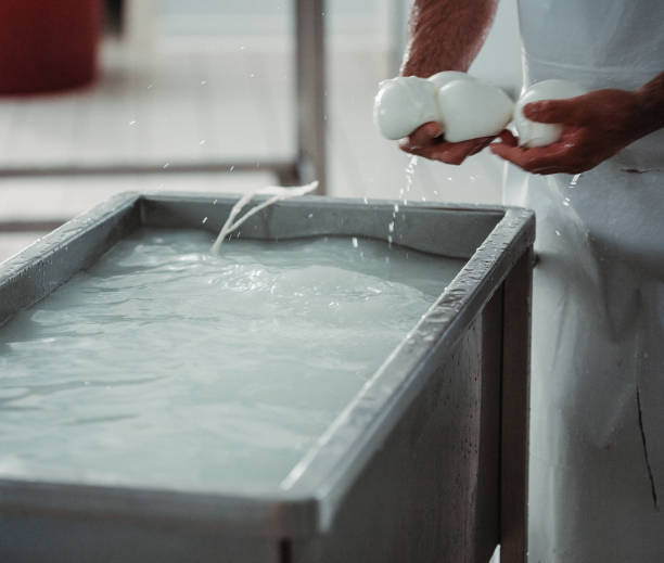 istock Bufala mozzarella production in Italy 1469452475