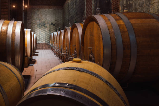 istock Wine cellar, storage room with large barrels 1469452527