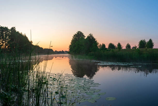 istock foggy dawn over the lake 1469452557