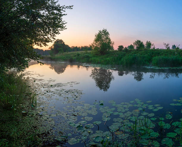 istock foggy dawn over the lake 1469452655
