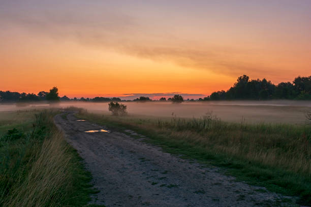 istock foggy dawn on the field 1469452656