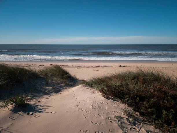 Sand dune covered in grass on a peaceful empty beach with clear cloudless blue sky and calm ocean waves. Quiaios, Portugal