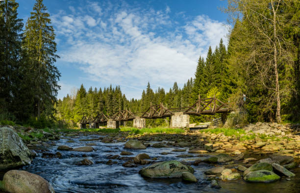most bramny w rechle koło modravy, szumawski park narodowy, czechy - czech republic zdjęcia i obrazy z banku zdjęć