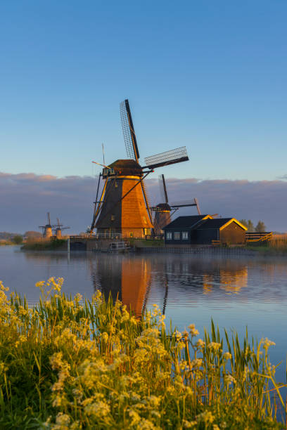 istock Traditional Dutch windmills in Kinderdijk - Unesco site, The Netherlands 1469457270