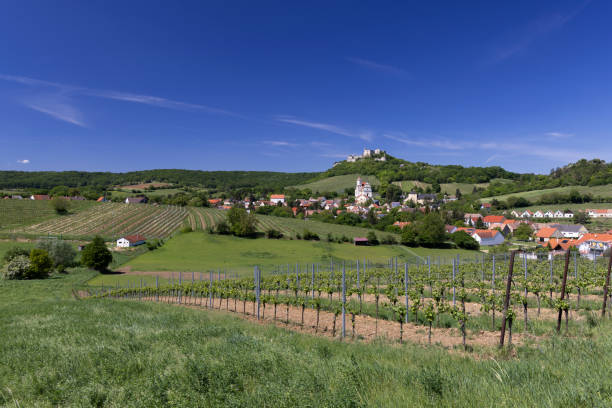 istock Falkenstein ruins and town with vineyard, Lower Austria, Austria 1469461497