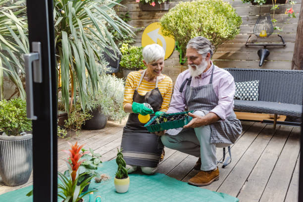 ガーデニングや家で植物の世話を楽しむ老夫婦 - senior adult couple care spring ストックフォトと画像