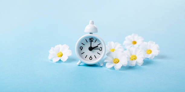 istock White Alarm Clock and Spring Daisy Flowers on Blue Background 1469464675