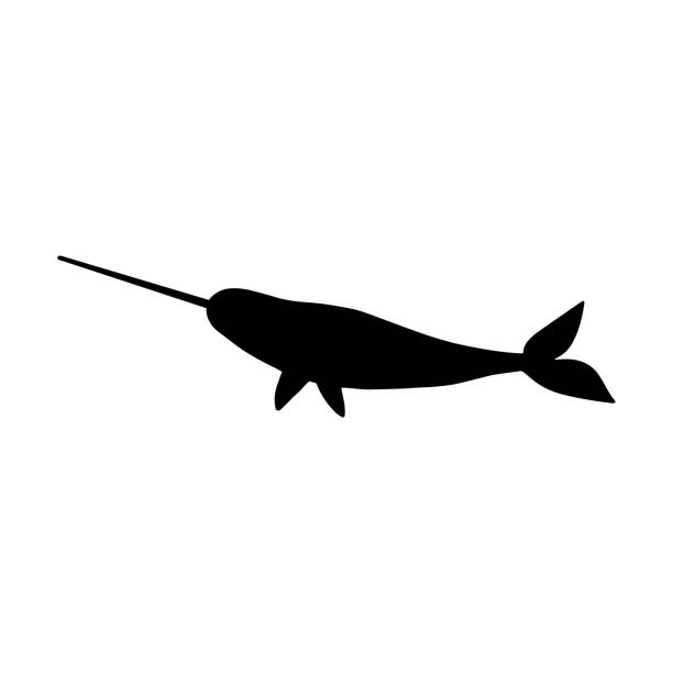 일각 고래 캐릭터 깊은 배경에 바다 동물. 야생 생활 그림입니다. 벡터 그림입니다. - 일각돌고래 stock illustrations