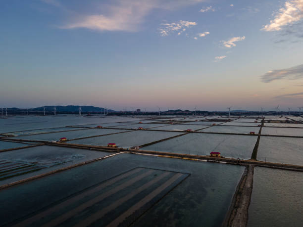 istock Seaside aquaculture pond at sunset 1469467812