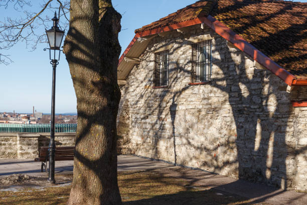 istock Red tiled roof with shadows from a tree. Old town medieval mood. 1469467833