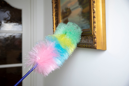 Colorful feather duster wiping the dust from oil painting in modern white home, Cleaning concept. Dust on vintage painting close up