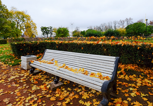 Wonderful park in autumn colors. Gothenburg city, Sweden.