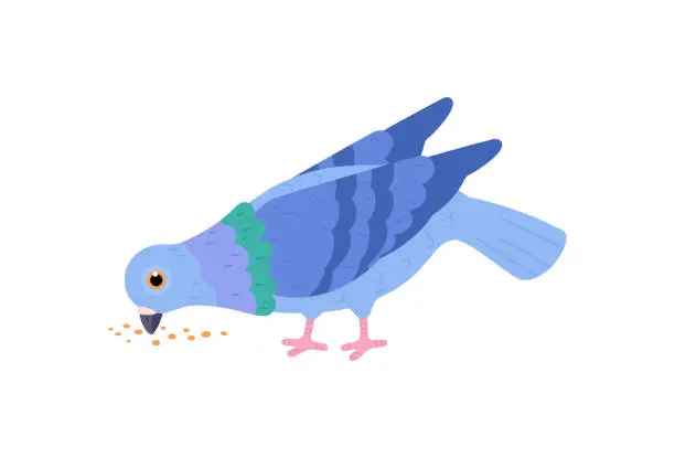 Vector illustration of Cute blue pigeon pecking crumbs flat style, vector illustration