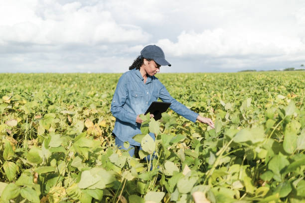 istock Woman in a plantation. 1469482811